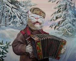Create meme: Cat with accordion