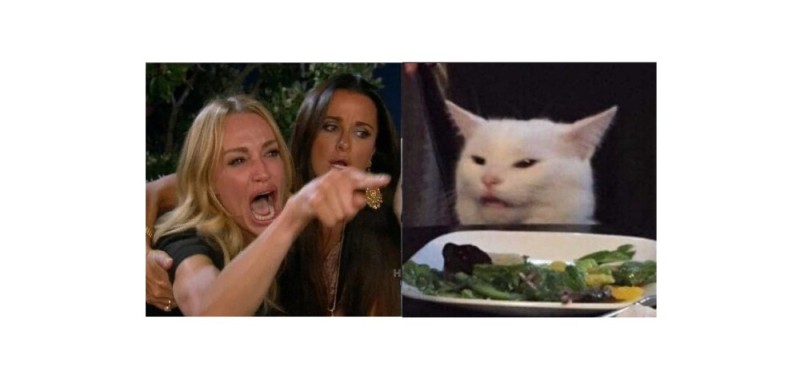 Create meme: the cat from the meme at the table, meme girls and a cat, woman yelling at a cat