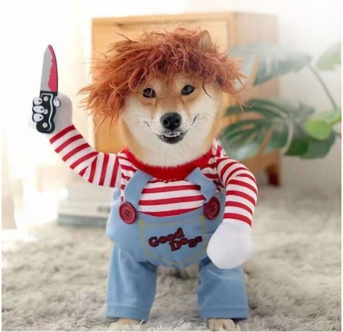 Create meme: chucky the dog, dog , dog cosplay