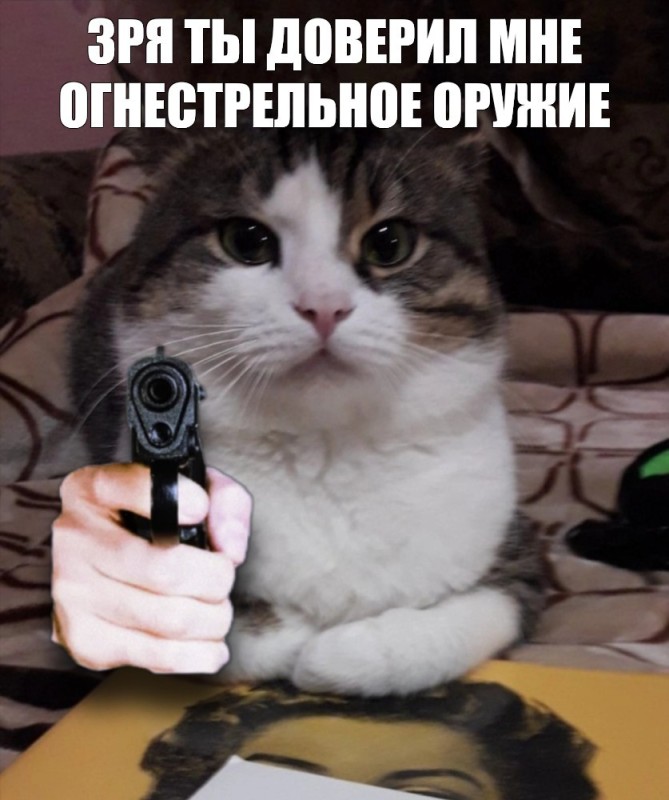 Создать мем: котенок с пистолетом, кот грабит, кот ебошь