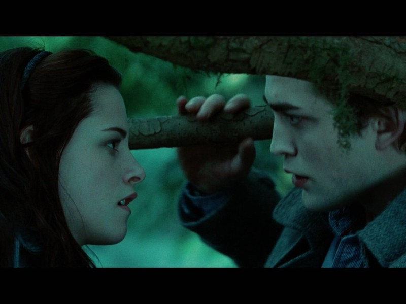 Create meme: the twilight Saga , Edward and Bella Twilight, twilight 2008 