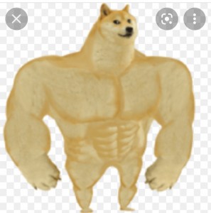 Create meme: inflated dog meme, Jock the dog and you learn, doge Jock