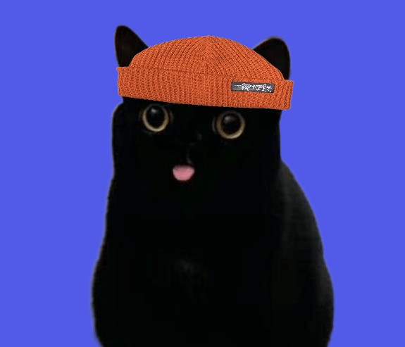 Create meme: black cat , black meme cat, mem the black cat
