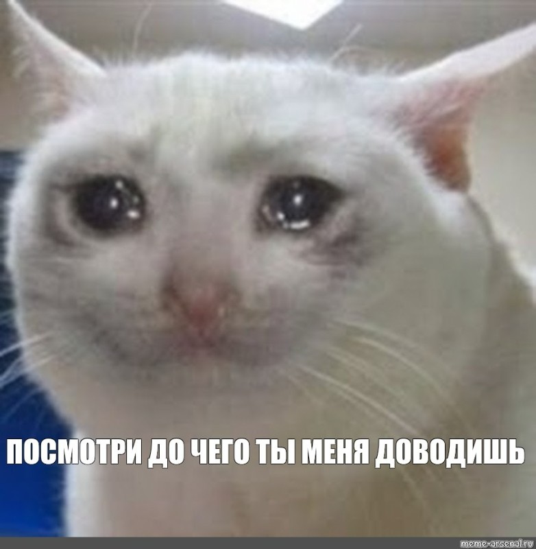 Создать мем: плачущие коты, грустный котик мем, плачущий кот из мема
