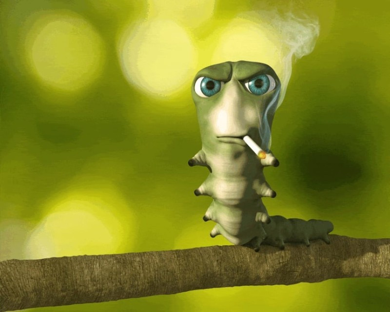 Создать мем: червяк с сигаретой, курящая гусеница, смешная гусеница