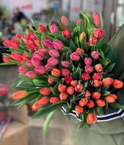 Create meme: a bouquet of tulips, tulips
