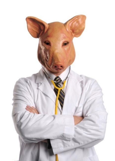 Создать мем: свинья доктор, свинка в маске медицинской, свинья врач