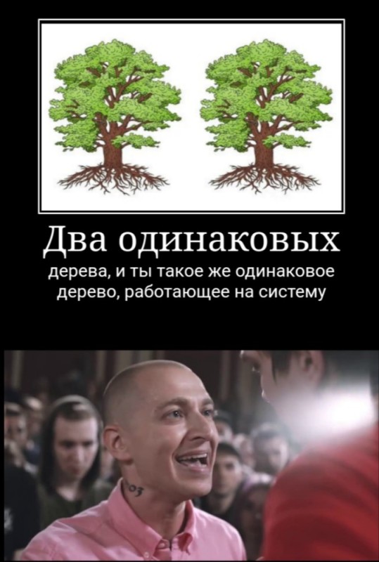 Create meme: tree , oak tree, oak 