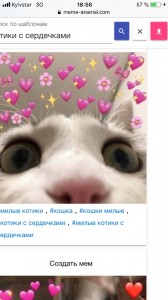 Создать мем: милый котик мем, милые котики, милые пикчи с котиками