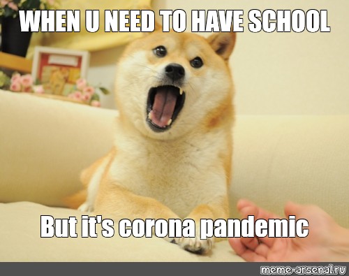 doge memes school