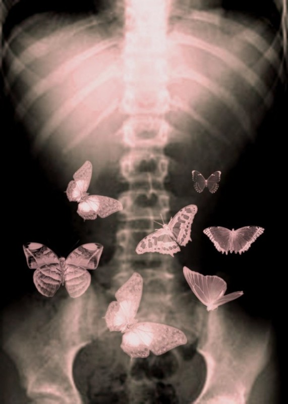 Создать мем: открытка бабочки в животе, тело бабочки, бабочки в животе любовь