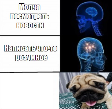 Create meme: breed pug, pug , meme brain 
