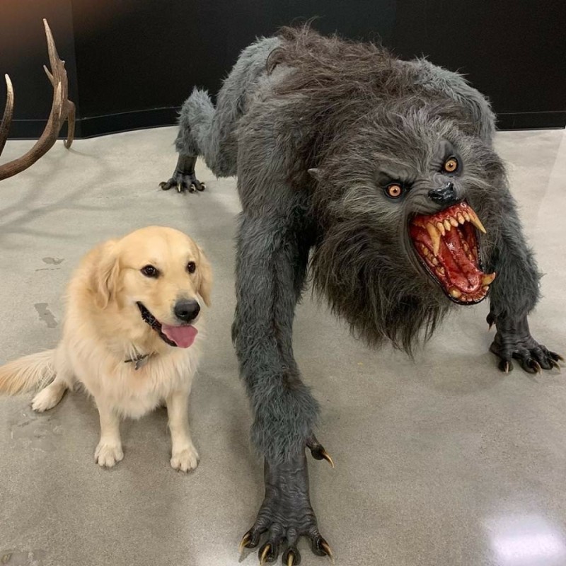 Create meme: dog, wolf monster, dog