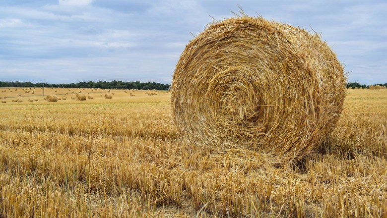 Create meme: hay field, meadow hay in bales, a bale of hay