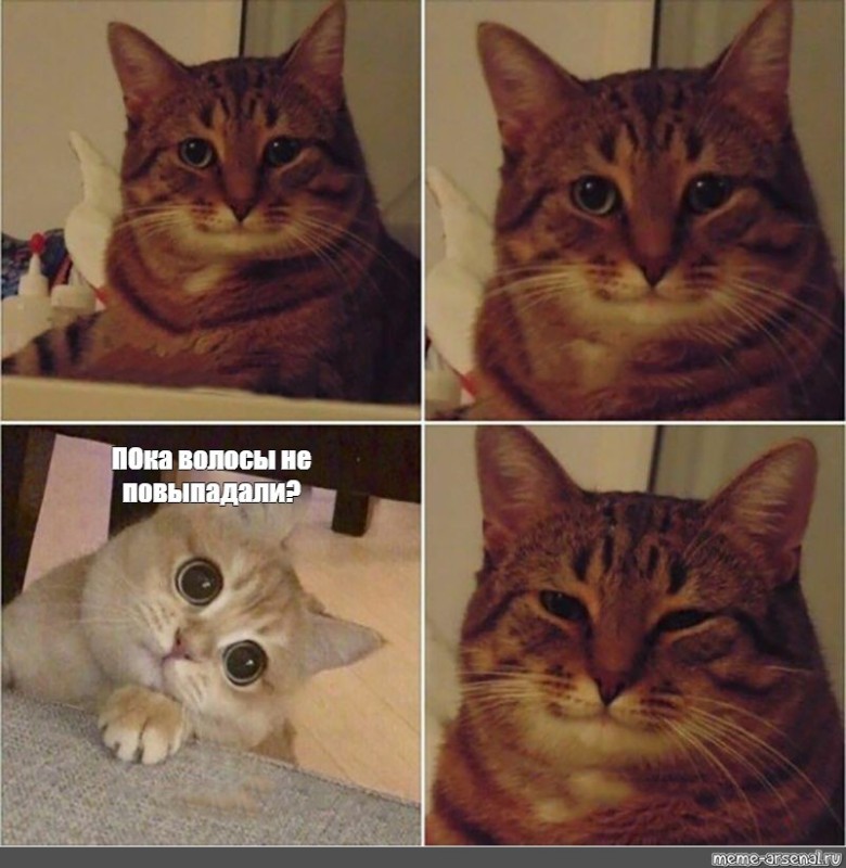 Create meme: memes with text with cats, memes with cats , smiling cat meme