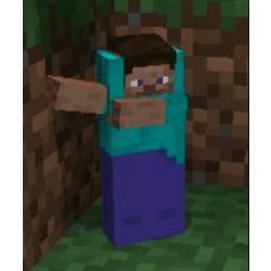 Create meme: Steve in minecraft