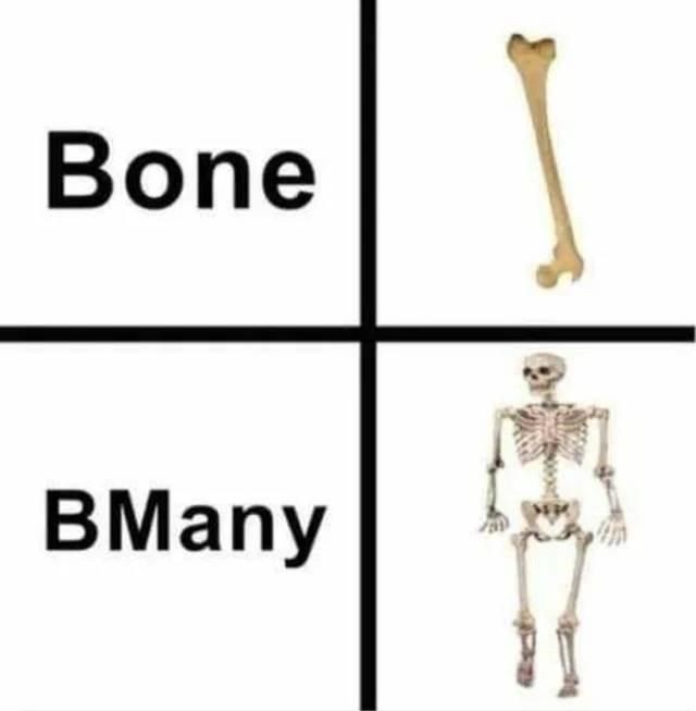 Create meme: bones meme, big brain meme, skeleton bone