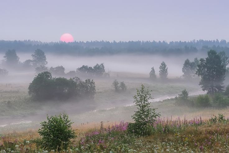 Create meme: field in the fog, morning mist , foggy morning kirov region