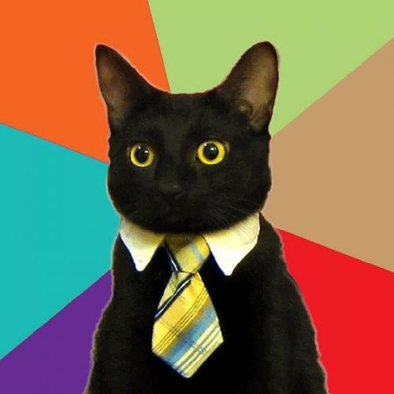 Create meme: Mr. cat, black cat in a tie, business cat