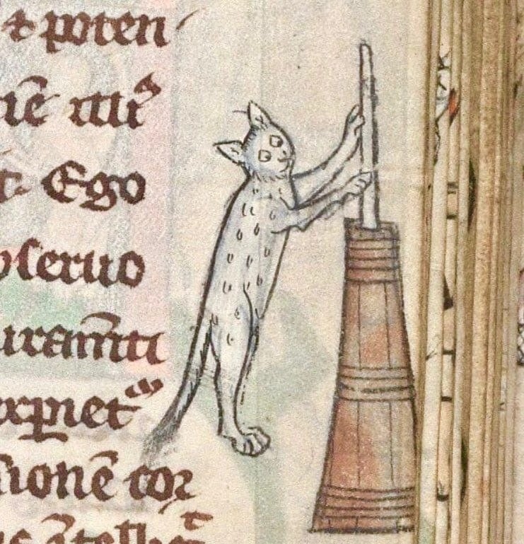 Create meme: medieval cats, suffering middle ages , medieval drawings