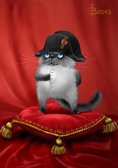 Create meme: rina zenyuk cat Napoleon, napoleon the cat, cat 
