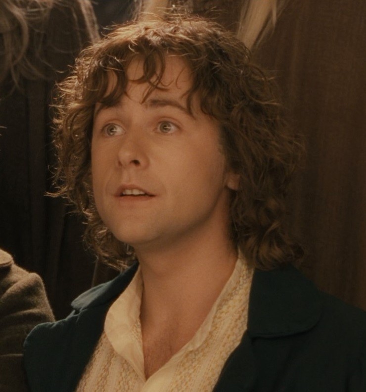 Create meme: Frodo Baggins, Pippin, the Lord of the rings 