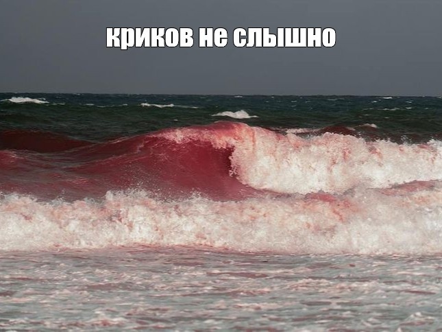 Create meme: Algae red tide, the bloody sea, the trick 