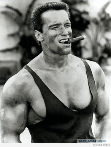 Create meme: arnold schwarzenegger commando, arnold schwarzenegger is a bodybuilder, Schwarzenegger with a cigar