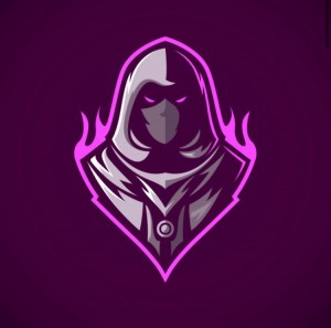 Create meme: mascot logo, assassin, assassin logo