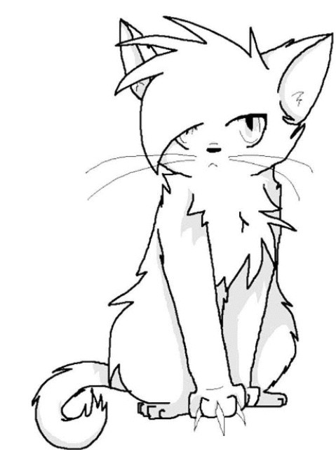 Create meme: anime cats for drawing, warrior cats coloring book, coloring pages anime cat