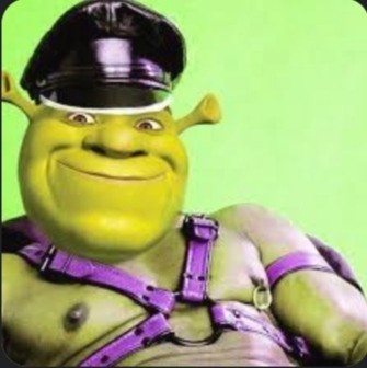 Create meme: Shrek Shrek, meme Shrek , Shrek funny
