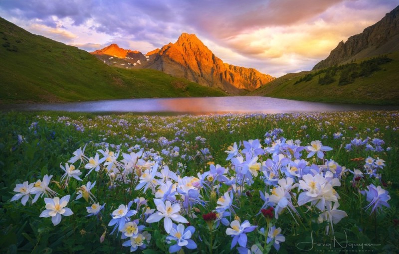 Создать мем: цветочный пейзаж, цветы пейзаж, природа горы озеро цветы