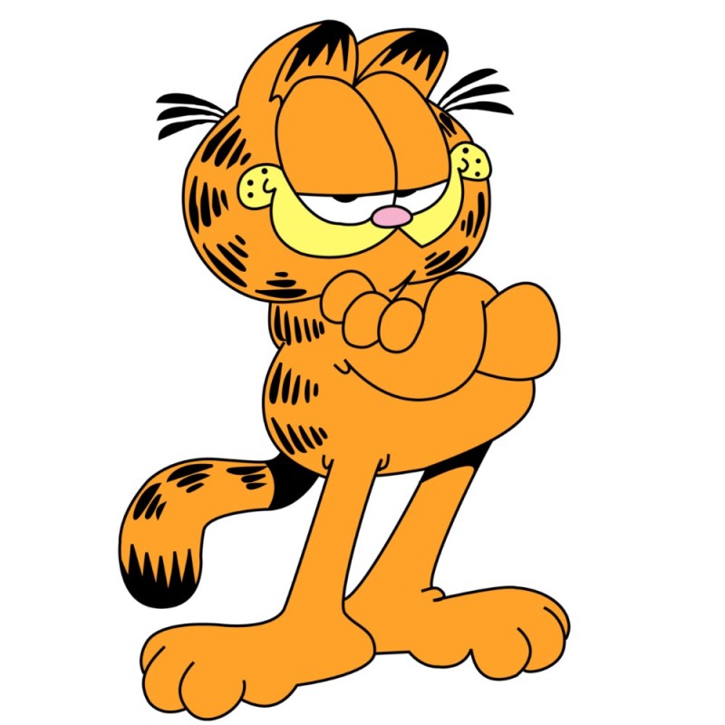 Create meme: Garfield cartoon, Garfield shaw, garfield cat