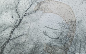 Create meme: glass, rain, rain window