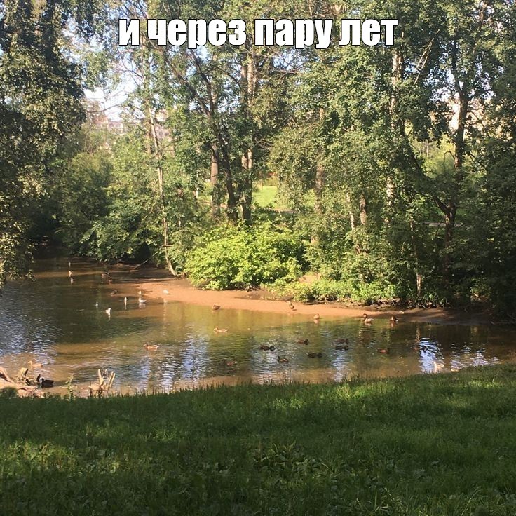 Создать мем: природа, водоем, на речке
