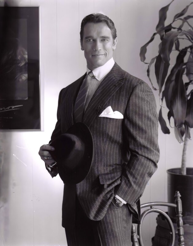 Create meme: Schwarzenegger in his youth in a suit, Patrick Schwarzenegger, the young Schwarzenegger