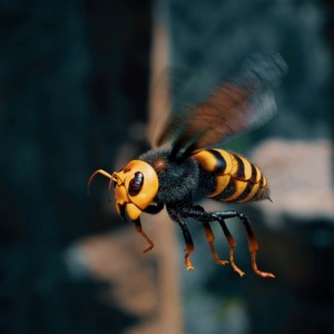 Create meme: vespa mandarinia hornet, Asian hornet, wasp and hornet