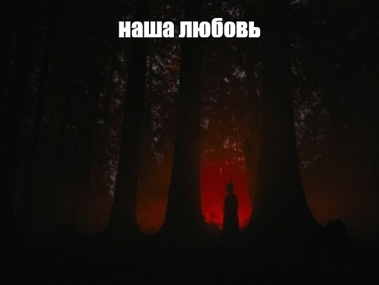 Создать мем: темный лес, ночью в лесу, темнота