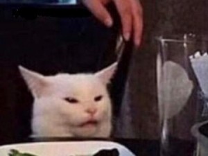 Создать мем: кот за столом мем 2019, кот в ресторане мем, котик за столом мем