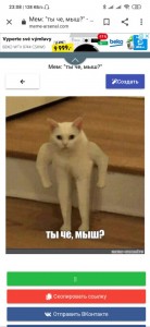 Create meme: the cat meme, meme white cat with hands, meme cat so of blet
