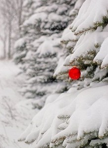 Создать мем: зимнее сердце в метели, снежное рождество, рождество и новый год