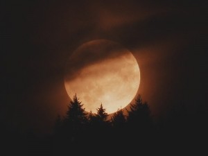 Создать мем: sky night, lunar eclipse, лунный свет
