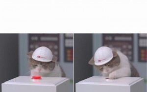 Создать мем: кот, грустный котик в каске, кот в каске