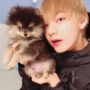 Create meme: taehyung and his dog, BTS, taken and entan, dog tahina