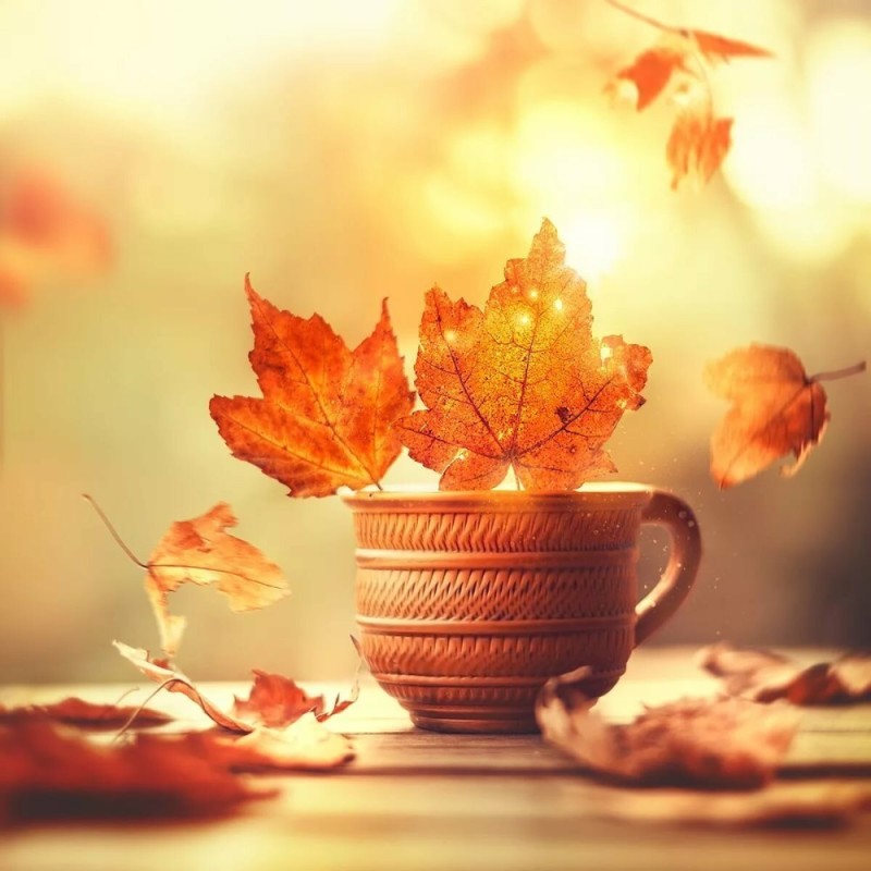 Create meme: good morning autumn, good autumn morning, autumn good morning