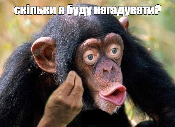 Create meme: chimpanzees , chimpanzee, male monkey