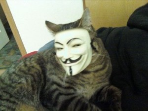 Создать мем: Кот анонимус