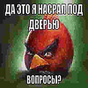 Создать мем: angry birds, красная птица, насру под дверь