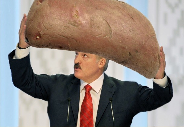 Создать мем: картошка, александр григорьевич лукашенко, батька картошка