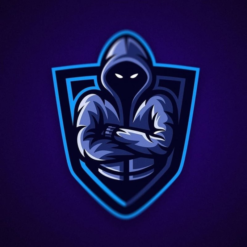 Create meme: logo for the clan, team logo, gamer 